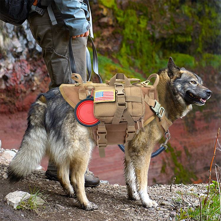 K9 Tactical Vest & Leash Set