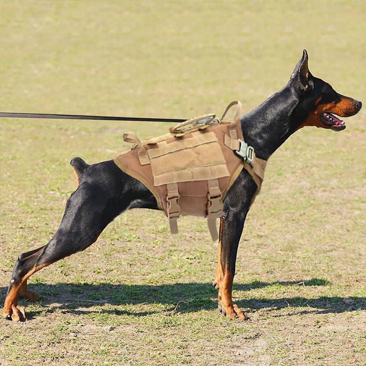 K9 Tactical Vest & Leash Set
